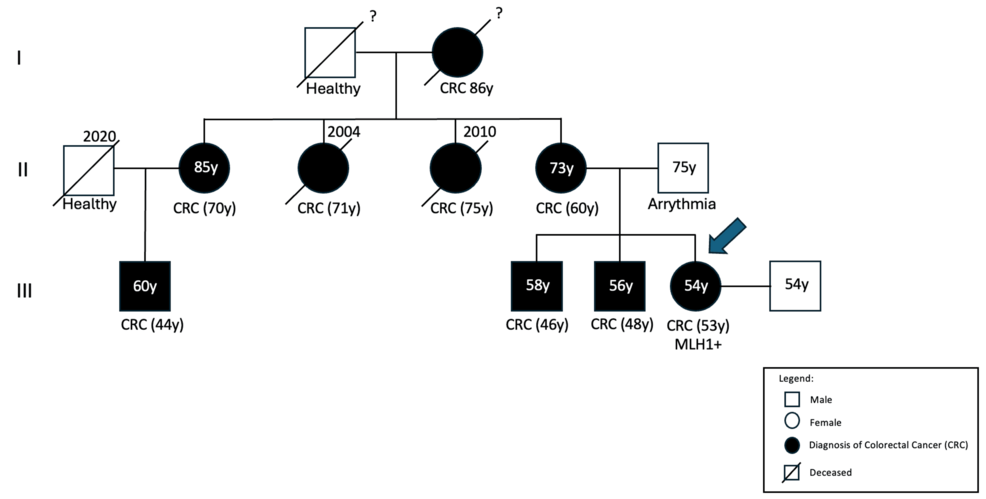 The Vital Role of Family Physicians in the Screening and Early Detection of Lynch Syndrome: A Case Report