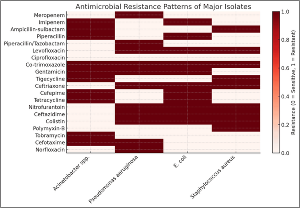 ESBL and MBL Detection in Multidrug-Resistant Acinetobacter baumannii from Diabetic Foot Ulcer Patients