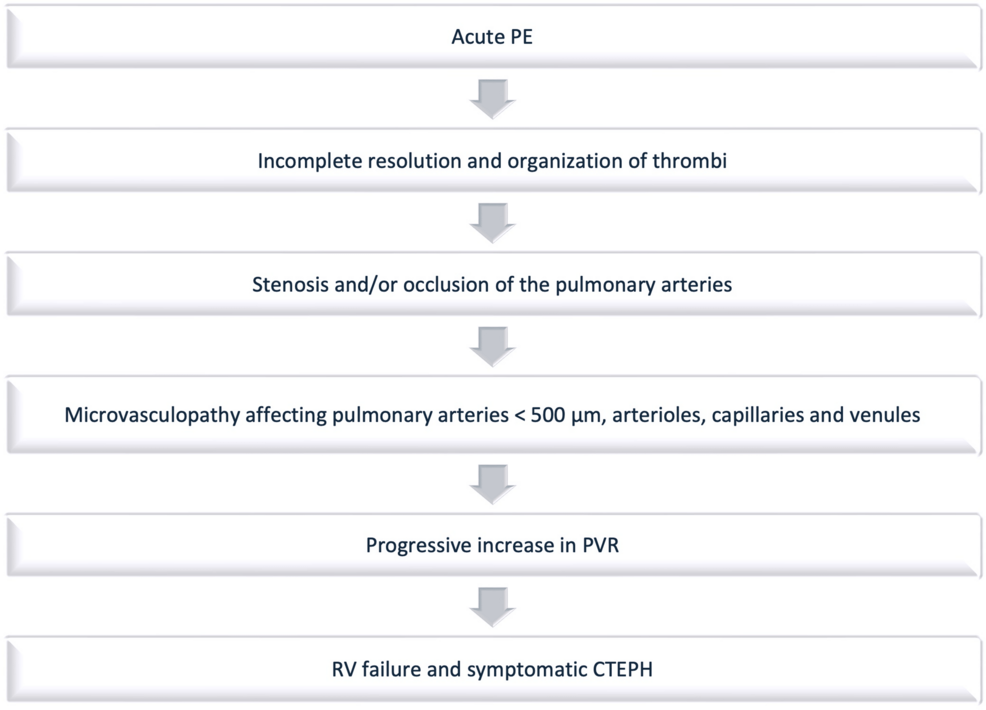 Chronic Thromboembolic Pulmonary Hypertension: A Narrative Review