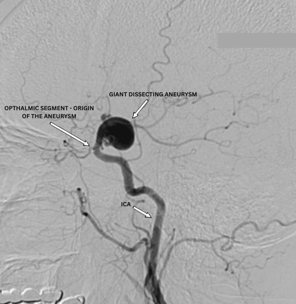 Medical Specialties List: Find Your Profession | Healthcare Fields