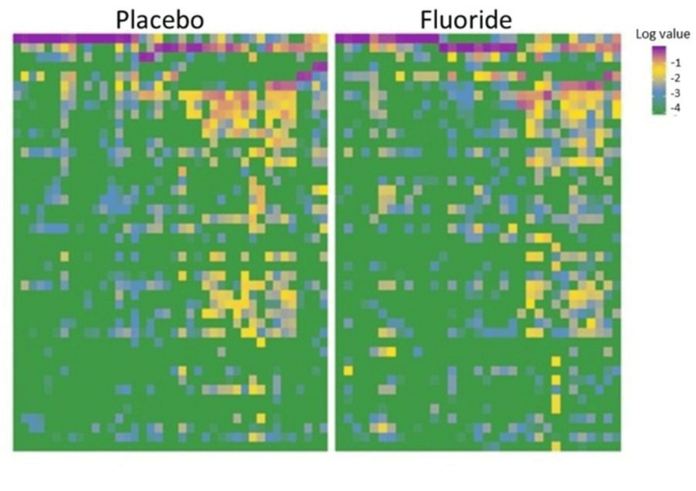 Vaginal-Microbiome-Taxon-Heatmap-by-Treatment-Group