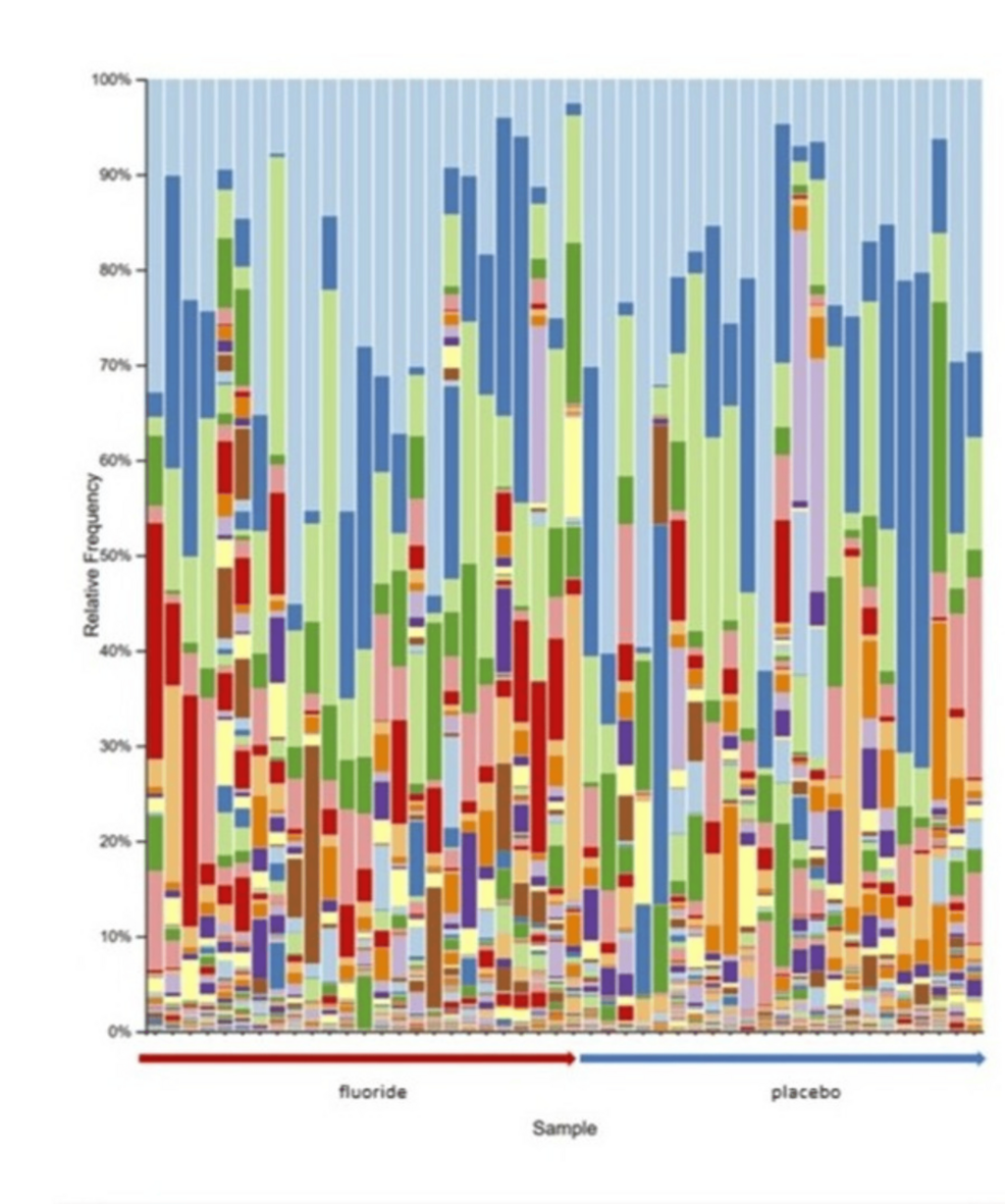 Oral-Microbiome-Taxon-Heatmap-By-Treatment-Group