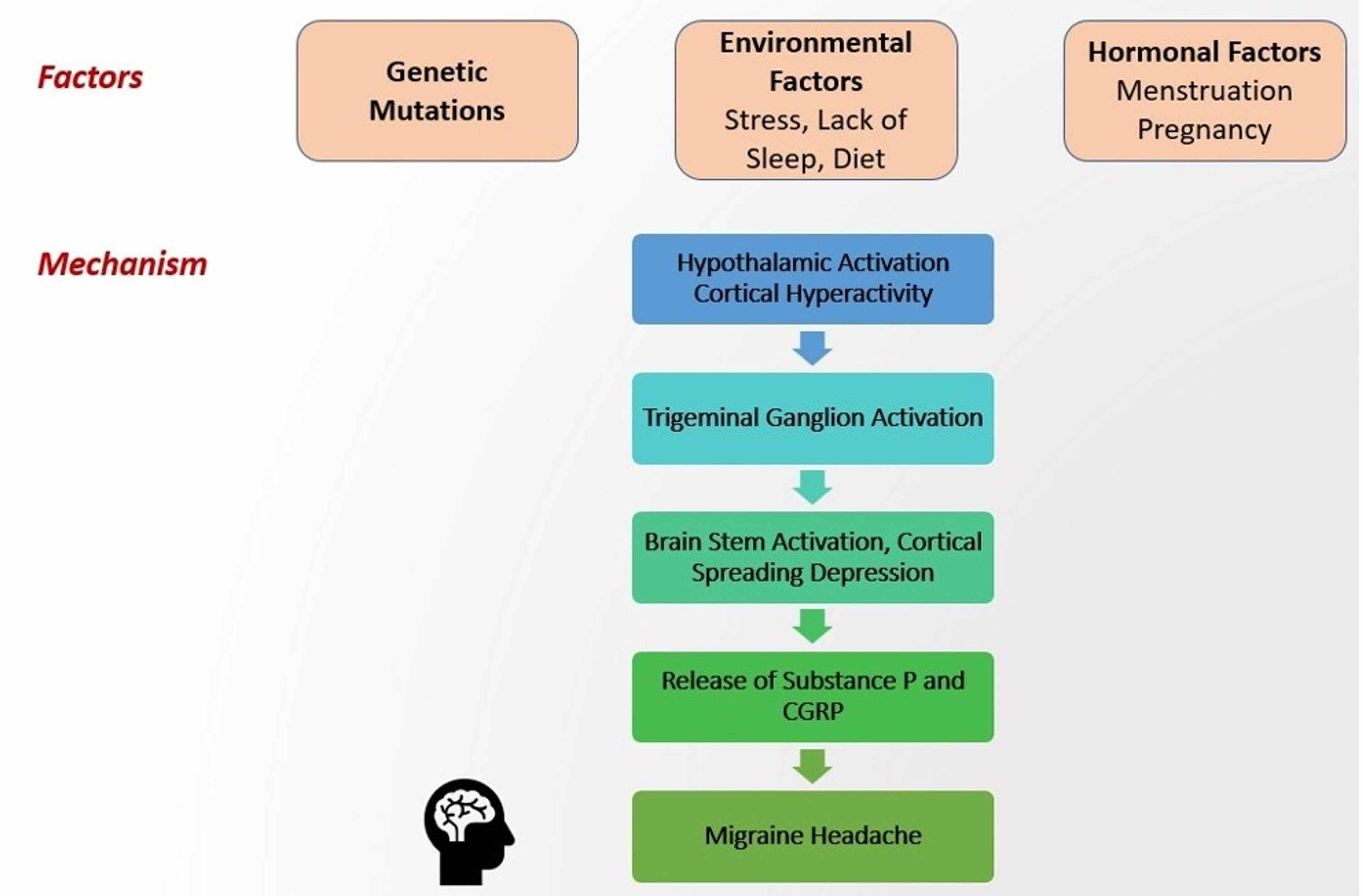 how-long-for-test-results-for-endometrial-biopsy