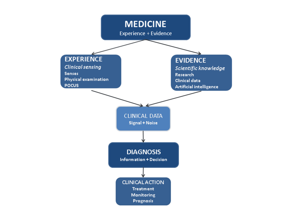 Integrating Artificial Intelligence and Point-of-Care Ultrasound Within the Clinical-Scientific Method: A Framework for Safer, Smarter Medicine