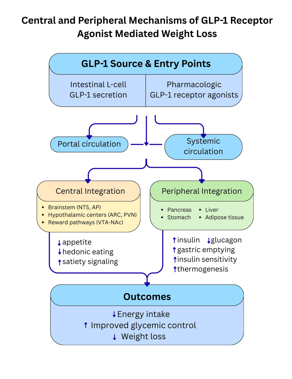 are glp 1 peptides Glucagon-like Peptide 1 (9-36) - GLP-1 Amide