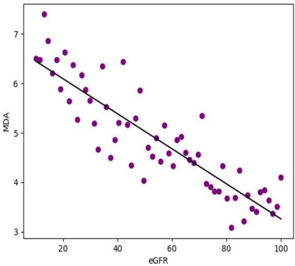 Redox Stress Biomarkers and Renal Dysfunction in Chronic Kidney Disease - News Directory 3