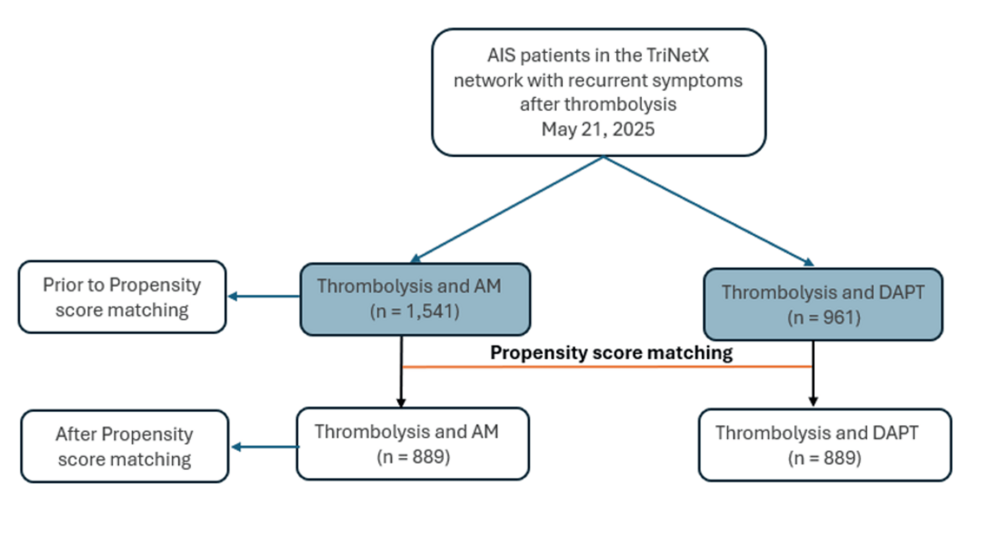 Efficacy and Safety of Dual Antiplatelet Therapy in Acute Ischemic