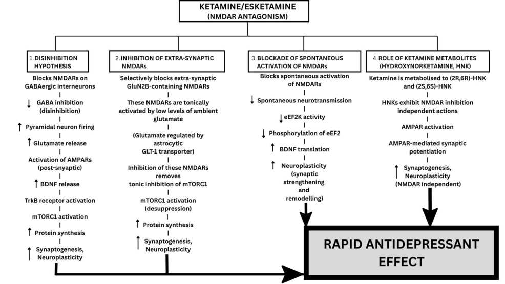 Ketamine and Rapid-Acting Therapies for Depression Treatment