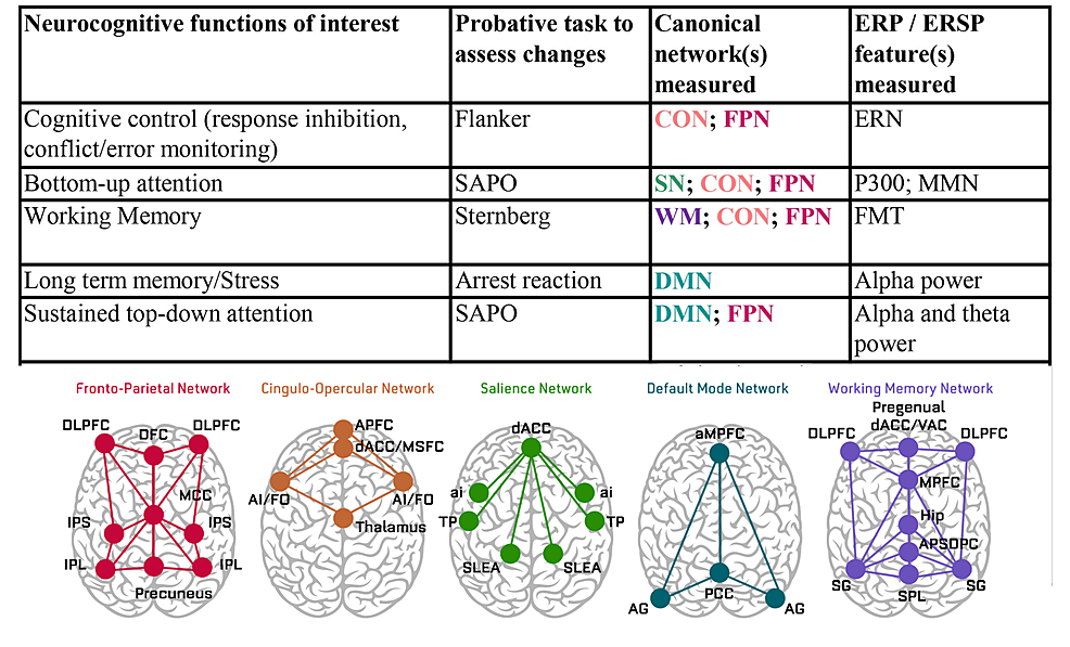 Neurocognitive-functions-of-interest-and-canonical-networks