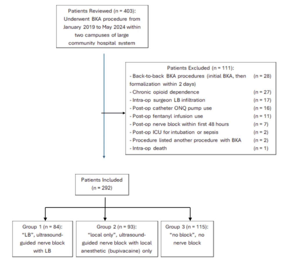 Flowchart-of-Patient-Charts-Reviewed,-Excluded,-and-Included-
