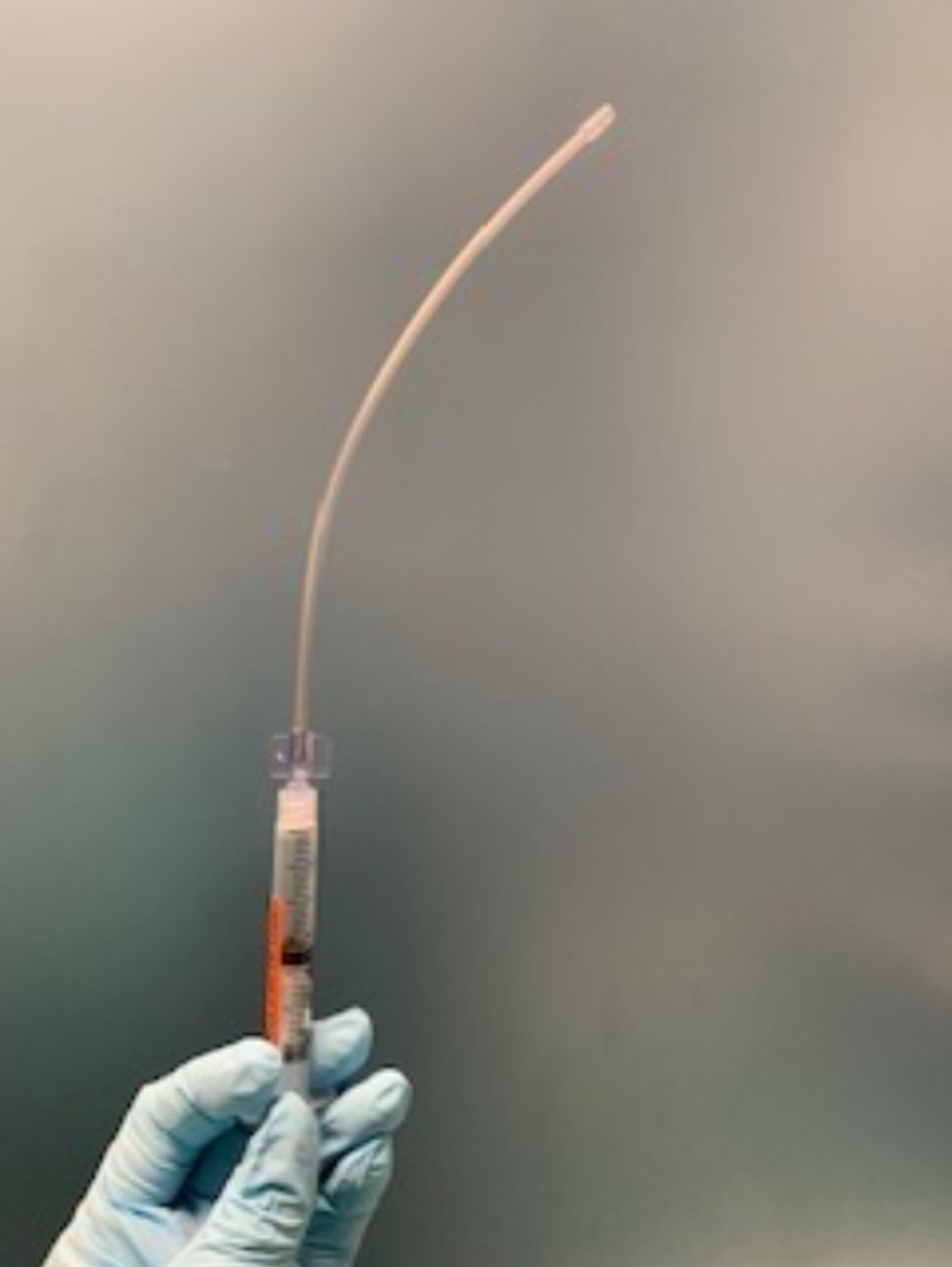 Cureus Airway Anesthesia for Awake Tracheal Intubation A Review of