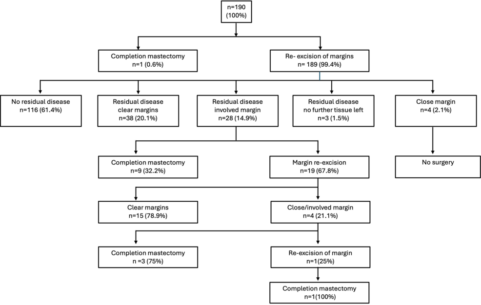 The image presents a flowchart detailing the surgical outcomes for 190 patients undergoing breast-conserving surgery. Of