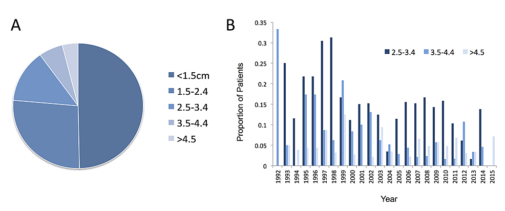 Tumour-size-in-the-total-cohort-(A)-and-the-trend-in-the-proportion-of-tumours-within-the-larger-size-categories-(B)