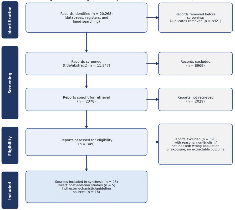 Potassium Levels and MRAs: Impact on AF Recurrence After Catheter Ablation