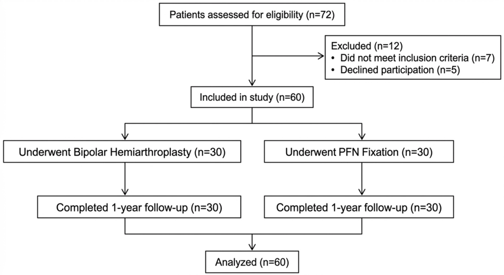 Primary Cemented Bipolar Hemiarthroplasty Versus Proximal Femoral Nail Fixation for Unstable Intertrochanteric Fractures in Osteoporotic Elderly Patients: A Prospective Observational Study