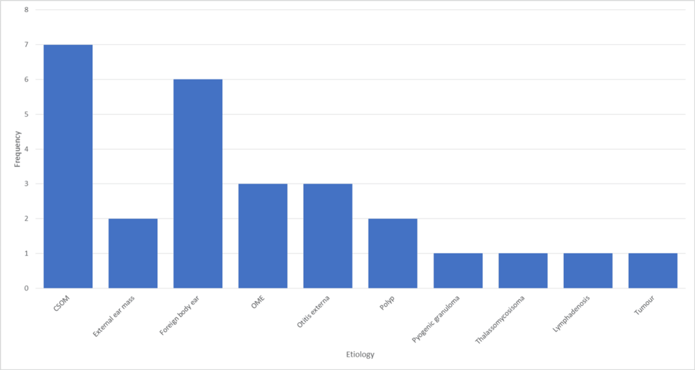 Etiology and Clinical Characteristics of Conductive Hearing Loss at a Tertiary Hospital in Sudan