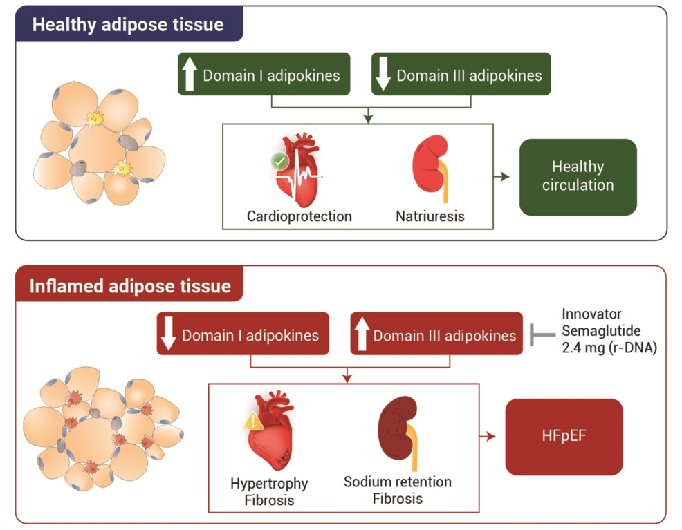semaglutide cv benefit Evaluating the Cardiovascular Benefits of Innovator Semaglutide 2.4 mg (Recombinant DNA (r-DNA)) in Patients With Overweight or Obesity: A Critical Review of Current Evidence