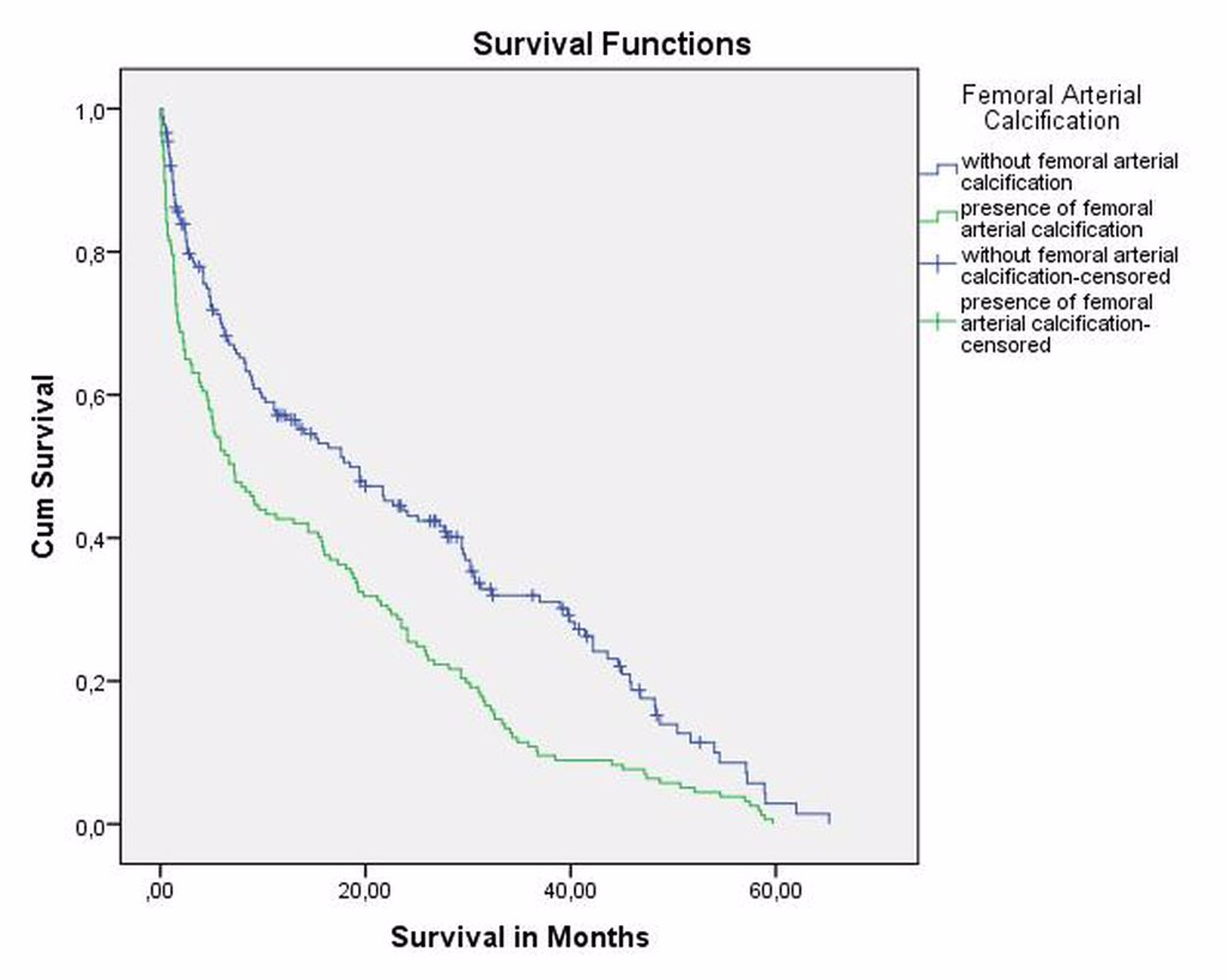 Cureus Does Presence Of Femoral Arterial Calcification Have An Effect On Postoperative Complication And Mortality In Patients With Hip Fracture