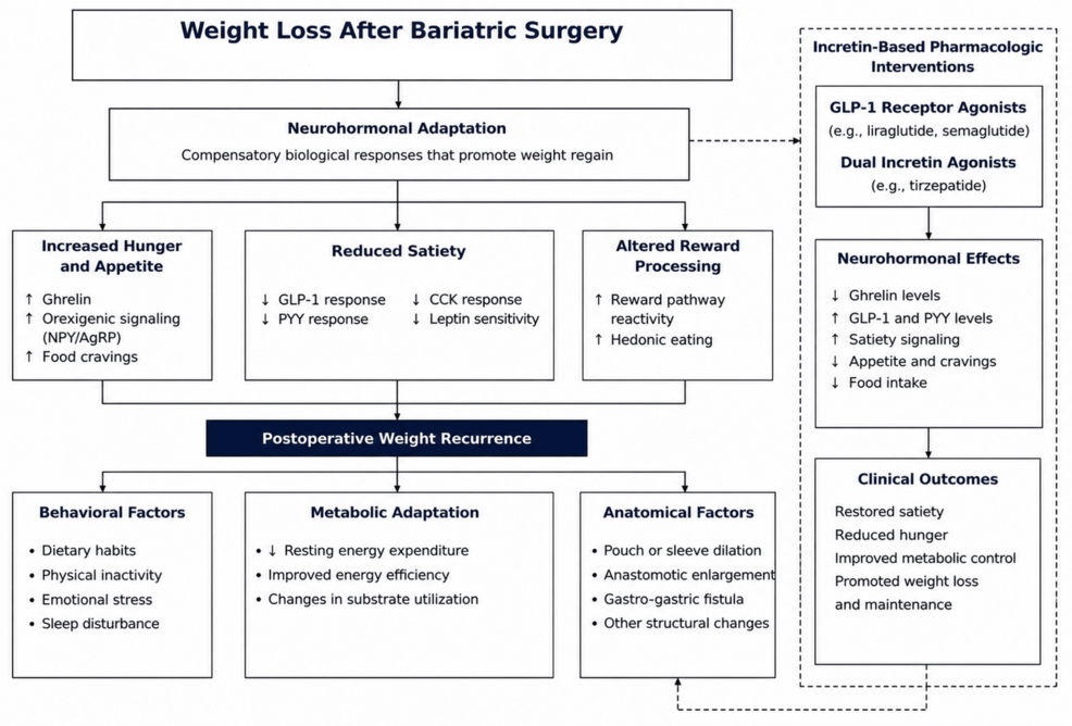 Weight Recurrence After Bariatric Surgery: Incretin-Based Therapies and the Evolving Role of Revisional Surgery