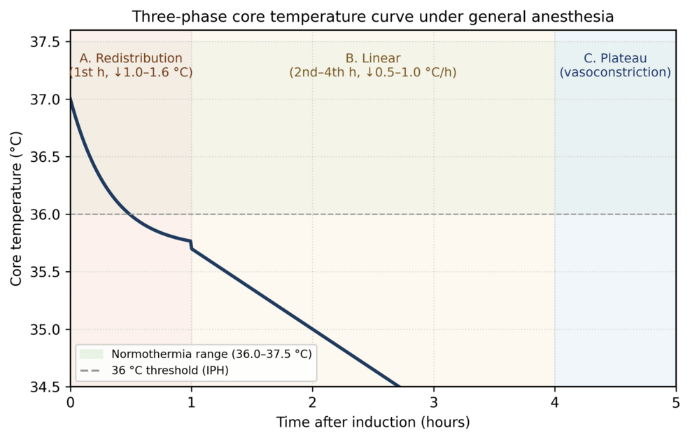 Three-phase-curve-of-core-temperature-under-general-anesthesia