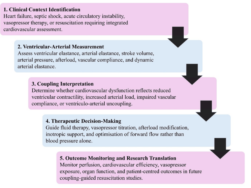 Clinical-application-pathway-for-ventriculo-arterial-coupling-assessment.