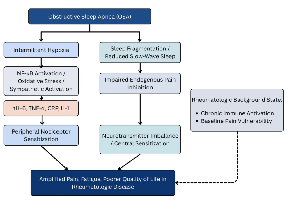 Obstructive Sleep Apnea as a Modifiable Contributor to Chronic Pain in Rheumatologic Disease: The Potential Role of Continuous Positive Airway Pressure Therapy
