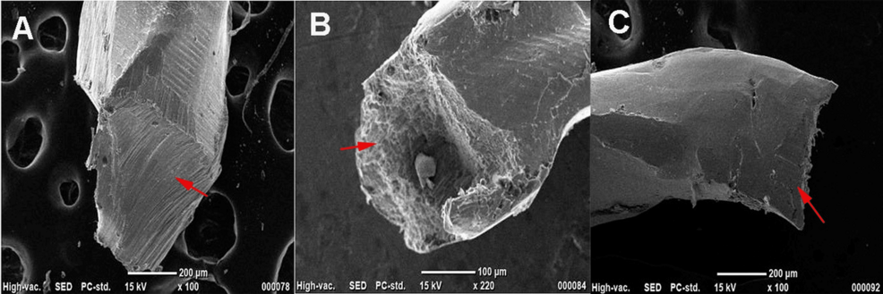 A Comparative Evaluation of the Cyclic Fatigue Resistance of Three Nickel-Titanium Rotary File Systems in a Simulated Curved Canal: An In Vitro Study