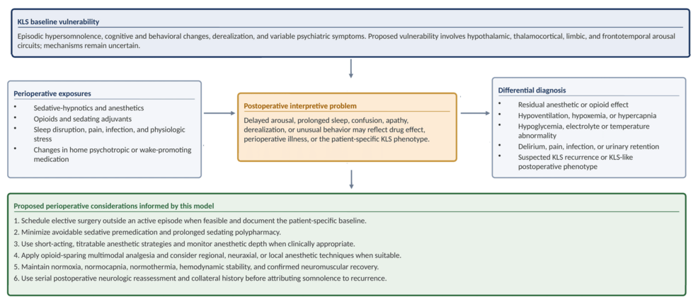 Proposed-Perioperative-Interaction-Model-in-Kleine-Levin-Syndrome