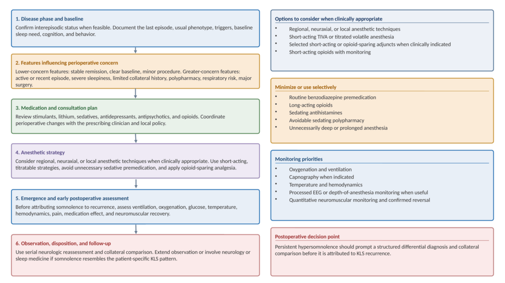 Proposed-Perioperative-Management-Framework-for-Kleine-Levin-Syndrome