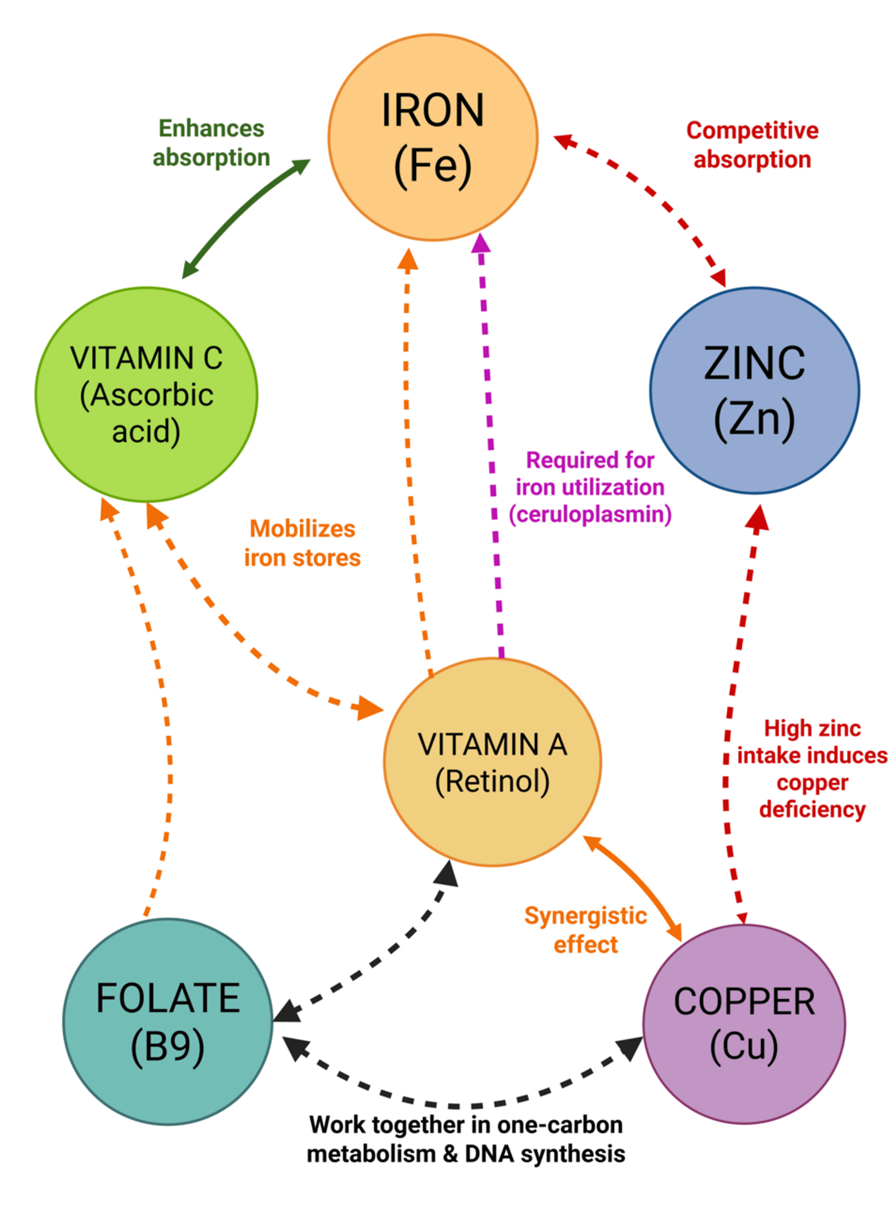 effect of glutathione on menstruation Frontiers Therapeutic potential of 7-hydroxyflavone in