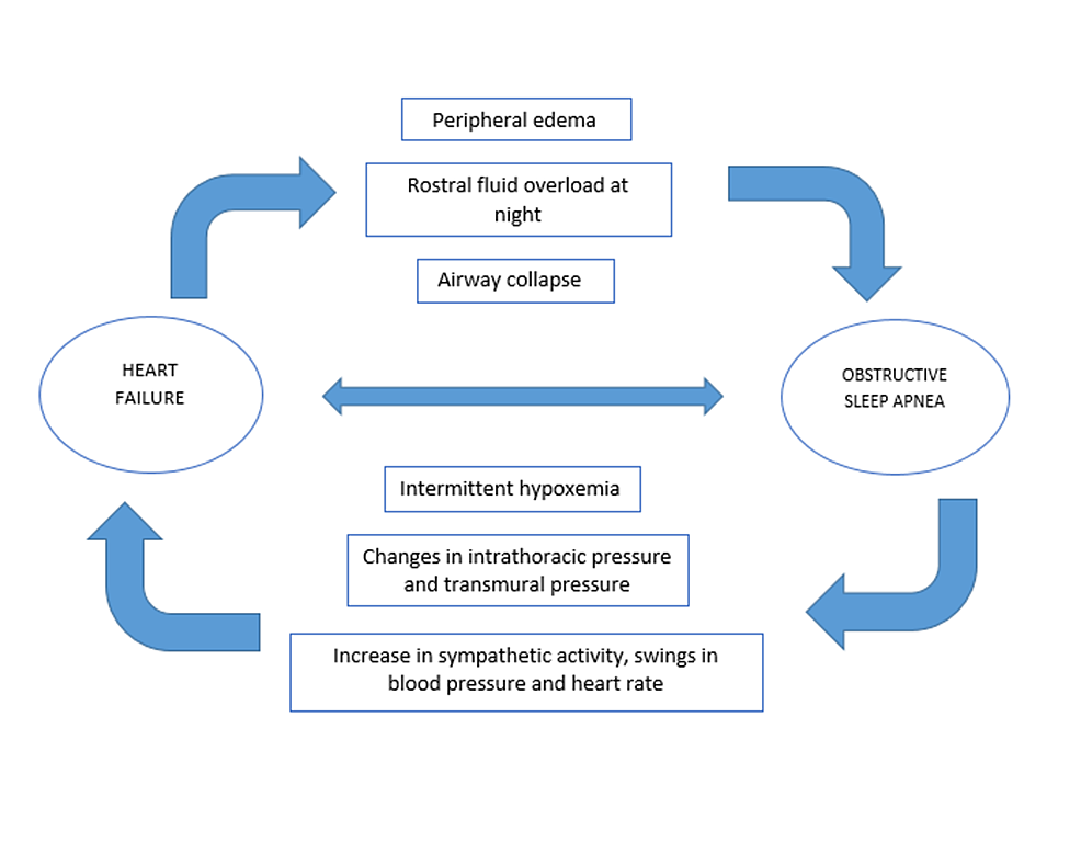 cureus-pathophysiological-mechanisms-to-review-association-of-atrial