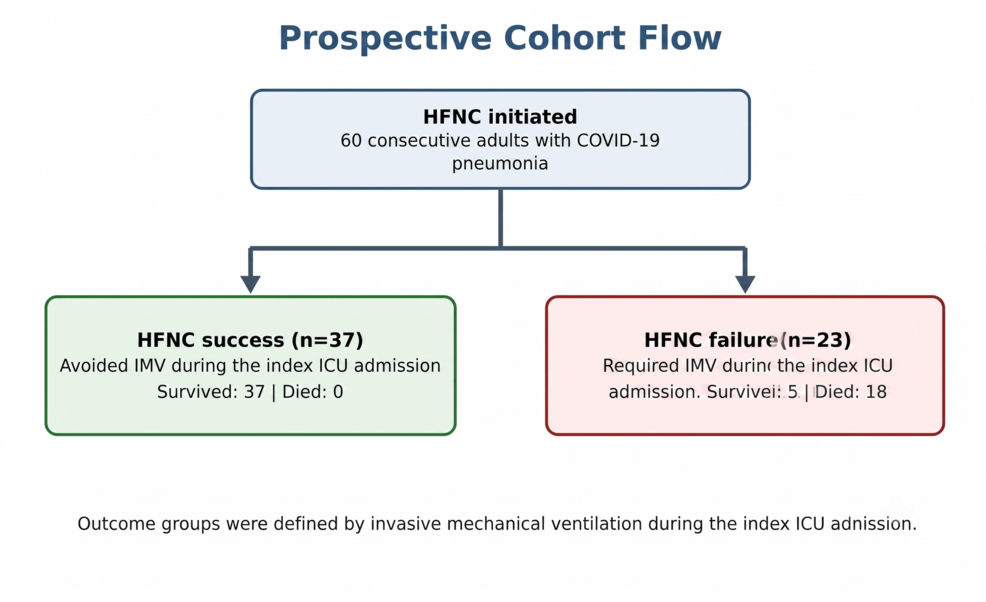 Derivation and Exploratory Evaluation of the Respiratory Rate-Oxygenation (ROX) Index as a Predictor of High-Flow Nasal Cannula Outcomes in Patients With COVID-19 Pneumonia