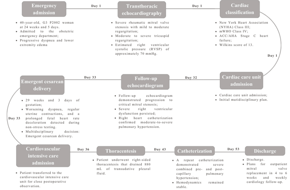 Timeline-of-the-patient’s-clinical-course,-including-major-diagnostic-findings,-multidisciplinary-management,-interventions,-and-outcomes-from-emergency-admission-to-hospital-discharge