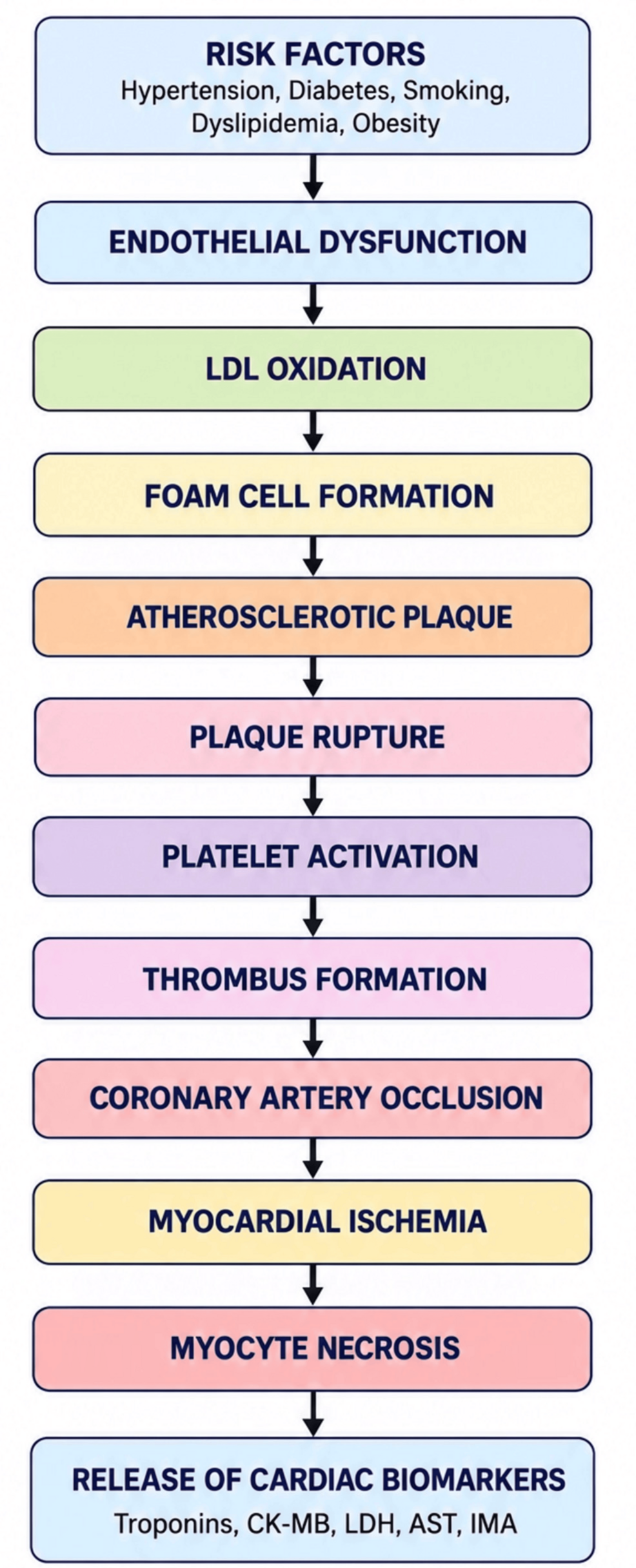Medical review details cardiac biomarkers in myocardial infarction