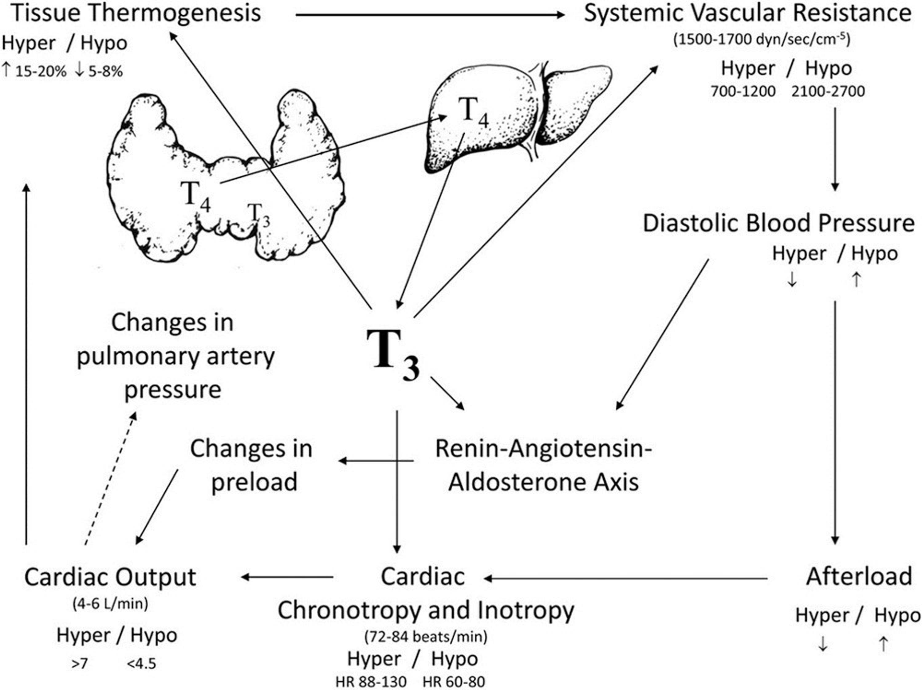 cureus-common-electrolyte-and-metabolic-abnormalities-among-thyroid