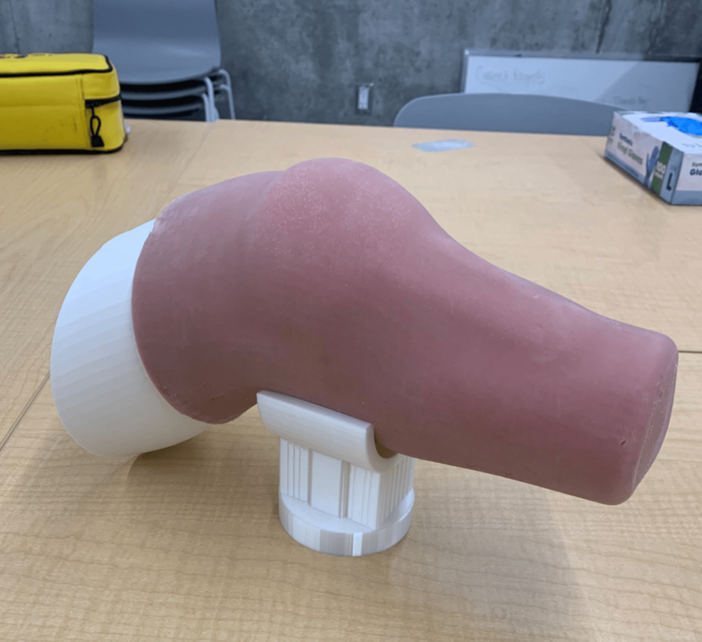 Development and Initial Assessment of a Low-Cost Skin Tear Management Task Trainer for Paramedic Education