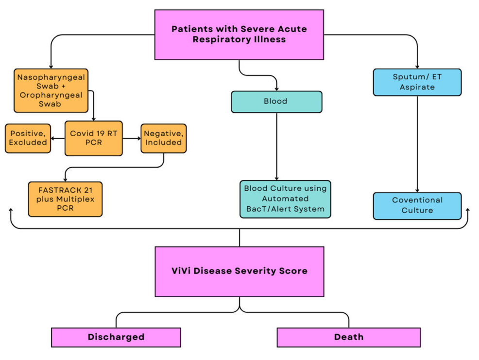 Molecular Etiology and Mortality Risk Stratification of Non-SARS-CoV-2 Severe Acute Respiratory Infection in a Predominantly Pediatric Cohort: A Retrospective Study From a Tertiary Care Hospital in North India