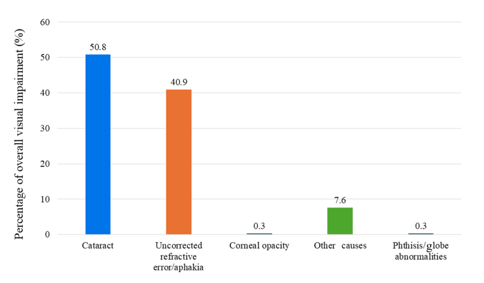 Prevalence of Visual Impairment and Effective Cataract and Refractive Error Coverage Among Adults Aged ≥40 Years in the Sundarbans, Eastern India: A Population-Based Rapid Assessment of Avoidable Visual Impairment (RAAVI) Survey