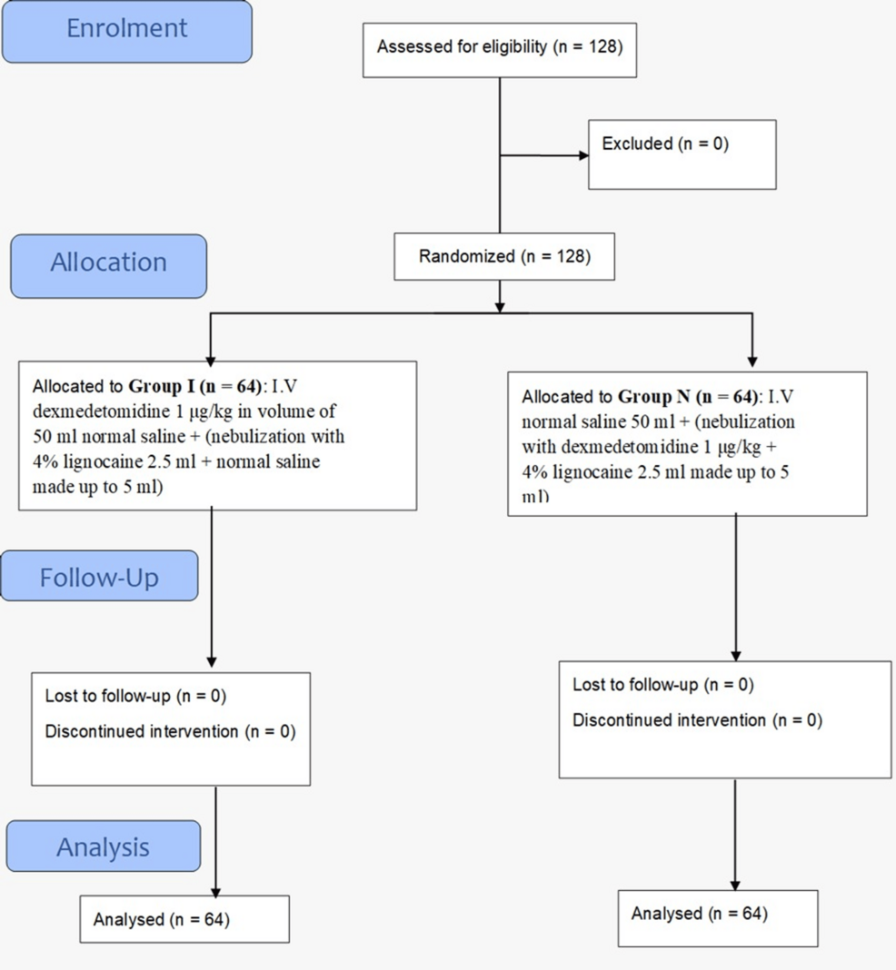 Nebulised Versus Intravenous Dexmedetomidine for Awake Fibreoptic Bronchoscope-Guided Intubation in Head and Neck Surgery: A Prospective, Double-Blind, Randomised Clinical Trial
