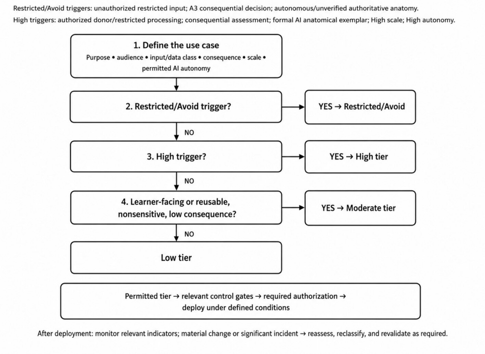 Governing Generative Artificial Intelligence in Anatomy Education: A Proposed Risk-Tiered Framework for Donor-Derived Material, Anatomical Fidelity, and Assessment