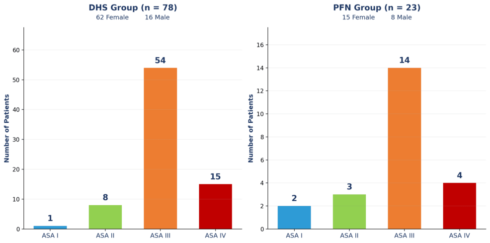 Fracture-Pattern-Guided Implant Selection in Extracapsular Proximal Femoral Fractures: A Descriptive Single-Centre Study of Dynamic Hip Screw and Proximal Femoral Nail Fixation in Older Adults