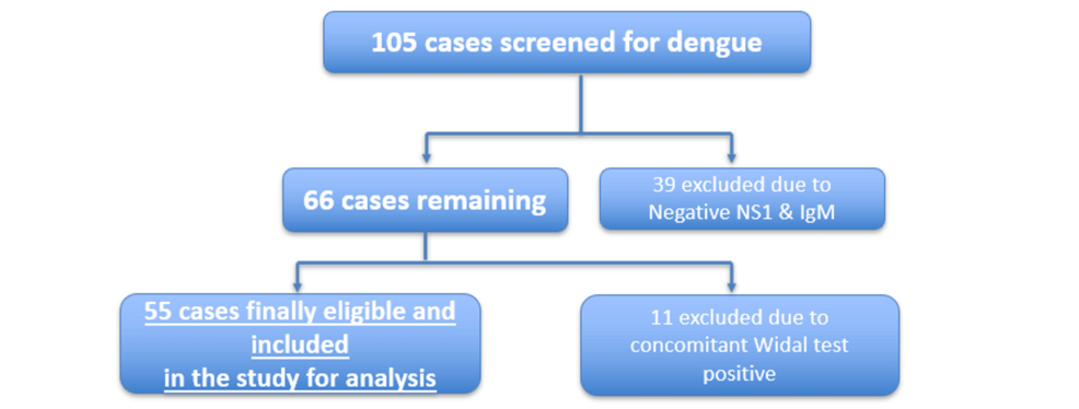 Evaluation of Hematological Indices, Their Longitudinal Trends, and Association With Stratified Dengue Severity in Pediatric Cohorts: A Prospective Observational Study