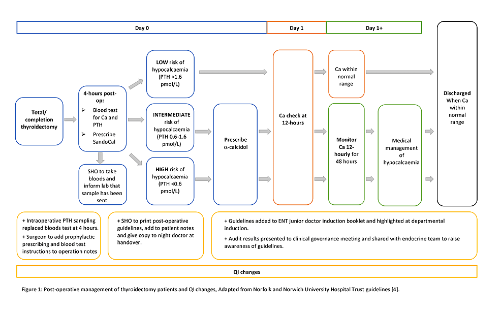 cureus-improving-the-management-of-post-operative-hypocalcaemia-in