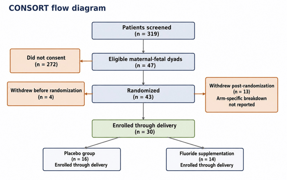 CONSORT-Flow-Diagram