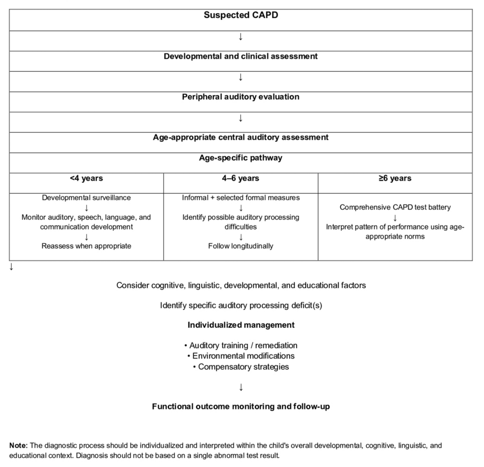 Central Auditory Processing Disorder in Children: A Multidisciplinary Approach