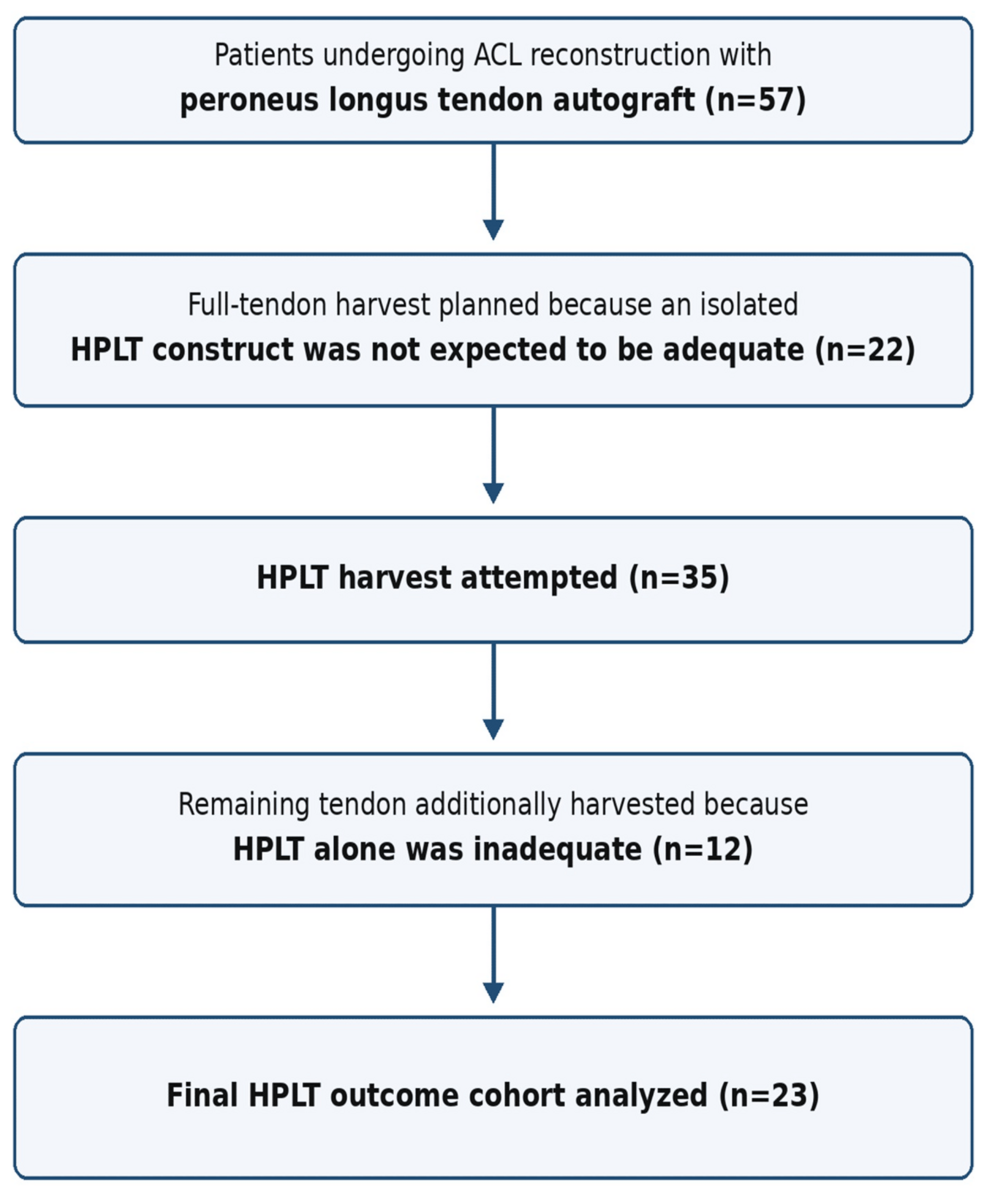 Clinical and Functional Outcomes of Anterior Cruciate Ligament Reconstruction Using Hemi-Peroneus Longus Tendon Graft: A Prospective One-Year Follow-Up Study