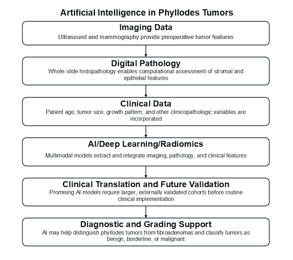 Review examines diagnosis of breast phyllodes tumors