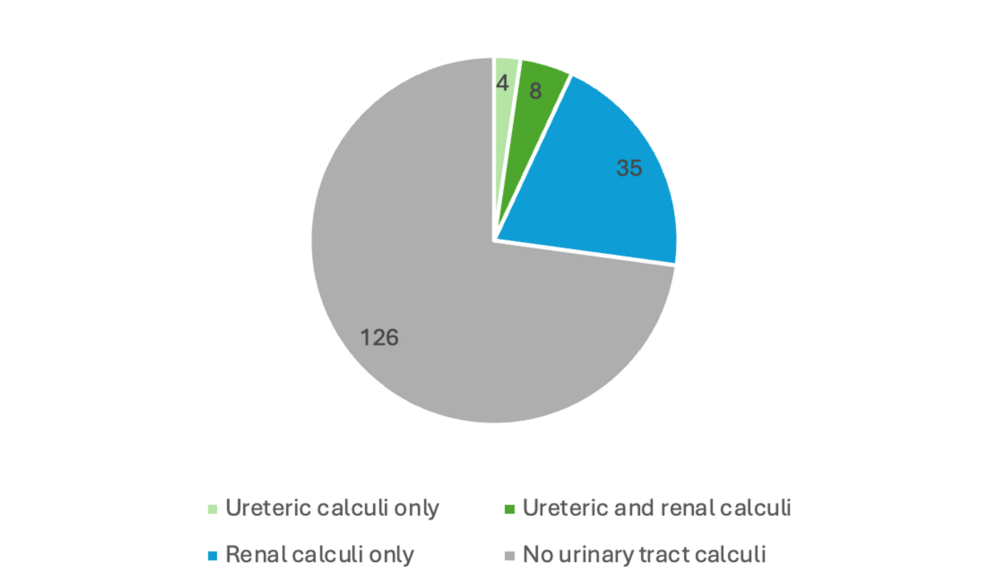 Detection of Ureteric Calculi on Computed Tomography of the Kidneys, Ureters, and Bladder (CT KUB) in an Outpatient Population