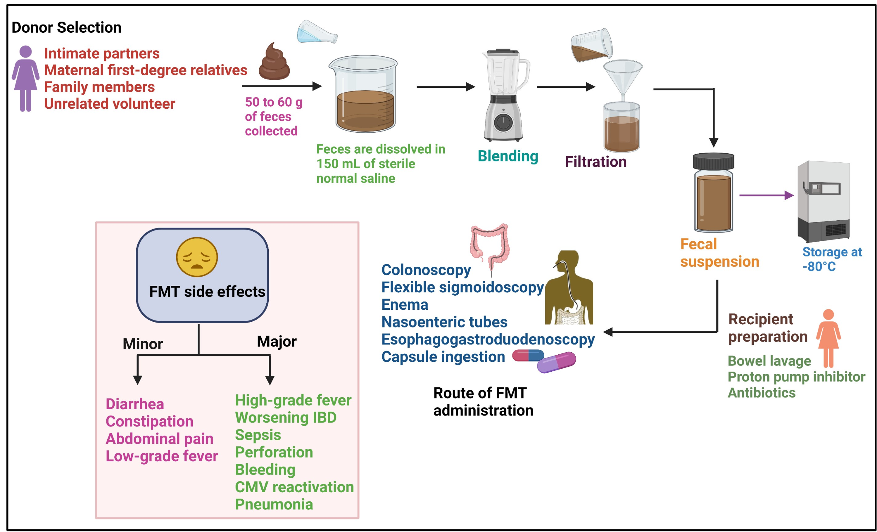 Cureus Fecal Microbiota Transplantation A Microbiome Modulation Technique For Alzheimers Disease 1795