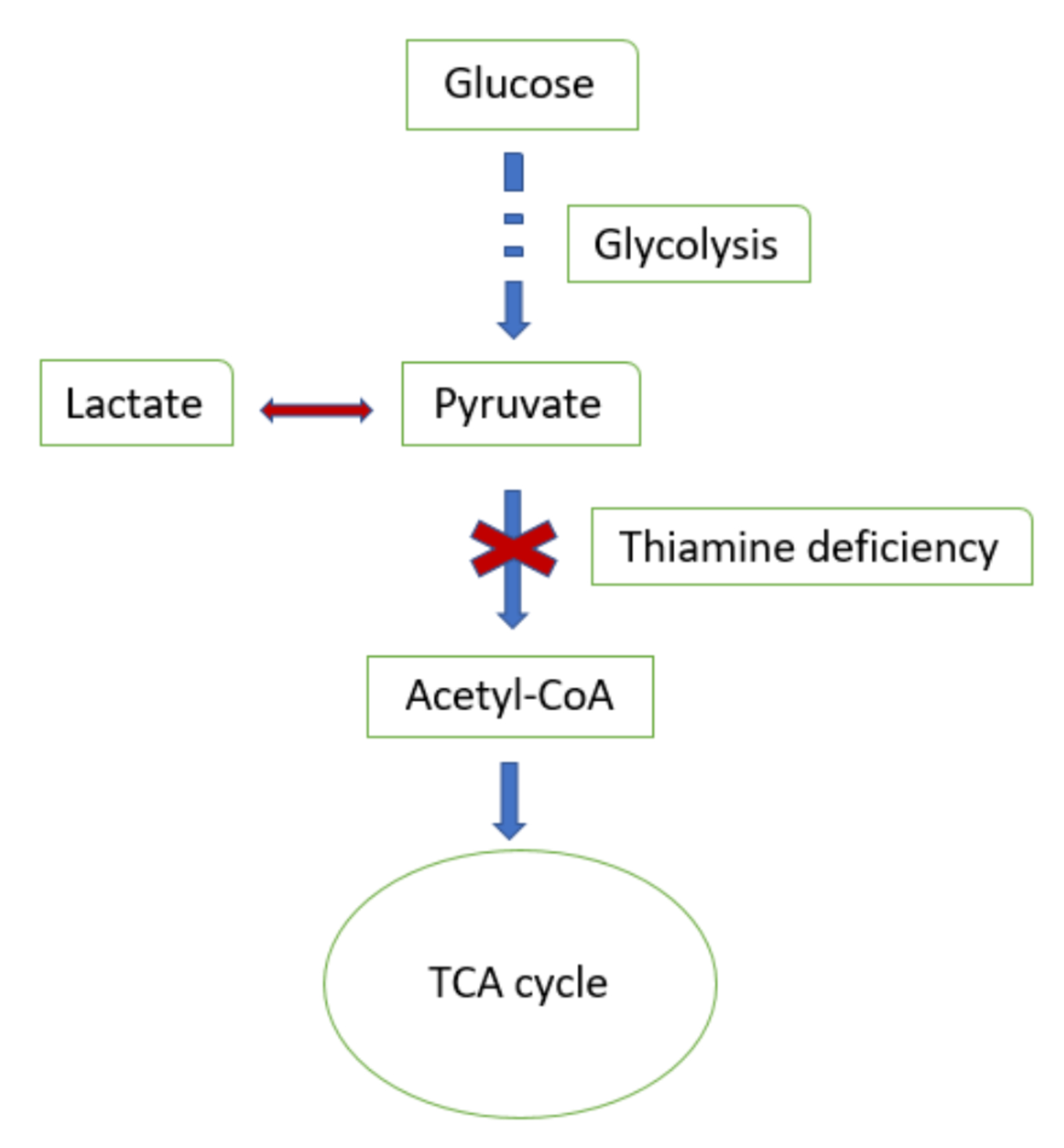 Cureus Treatment of Refractory Lactic Acidosis With Thiamine